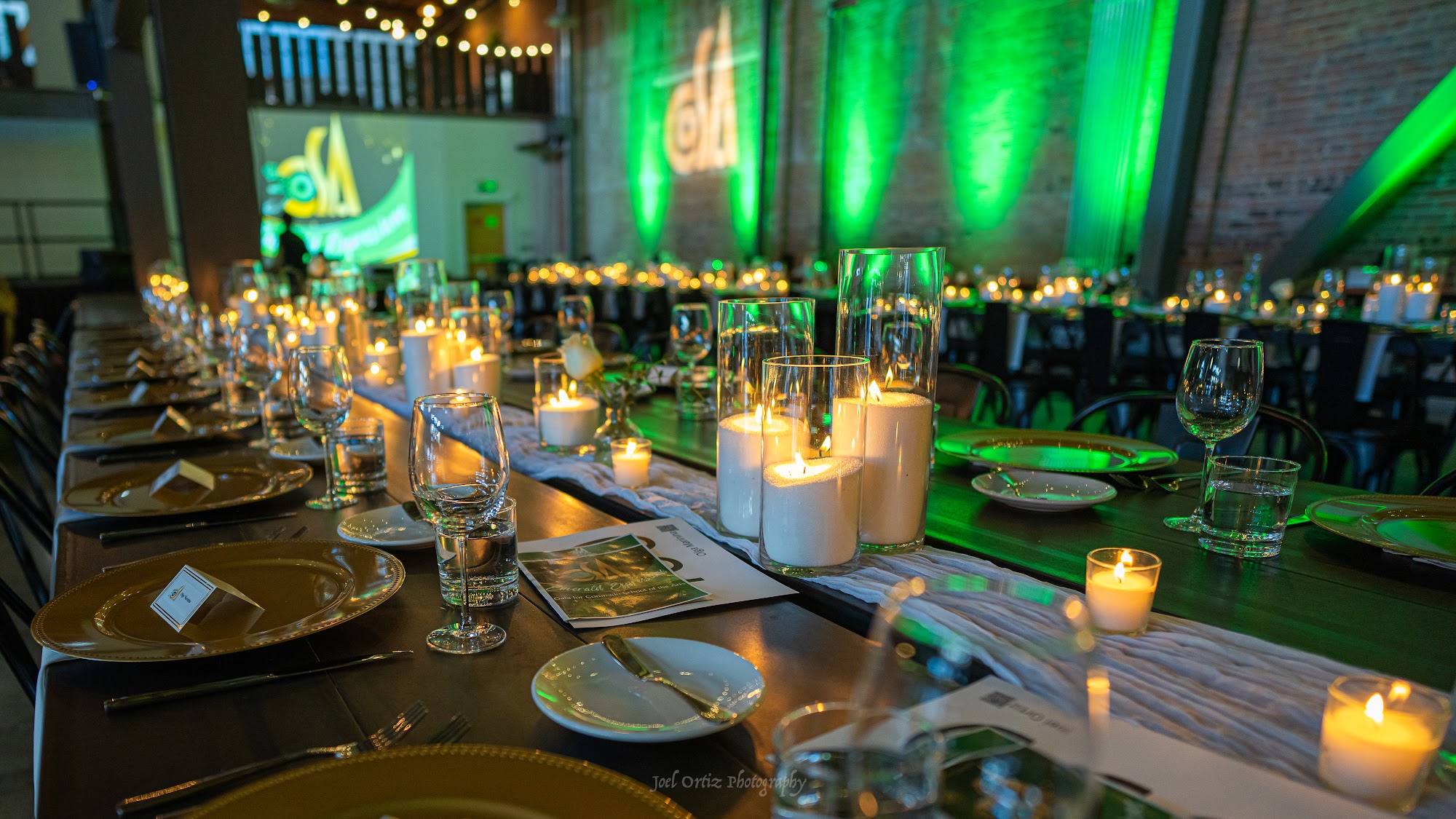 Gala 2026 photo 3